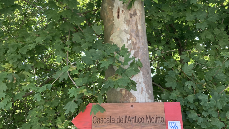 Schermata 2022-06-19 alle 16.06.37