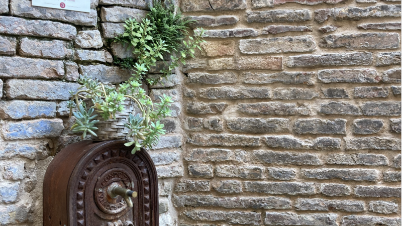 Schermata 2022-06-20 alle 09.22.16 2