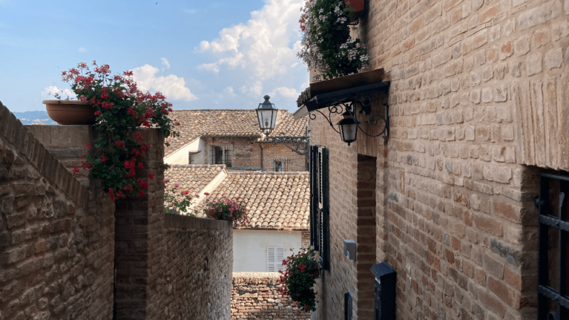 Schermata 2022-06-20 alle 09.24.02 2