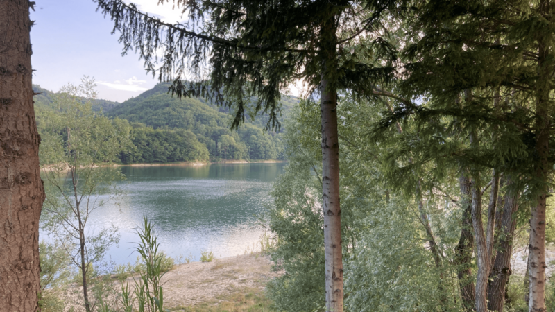 Schermata 2022-06-20 alle 10.29.40 2