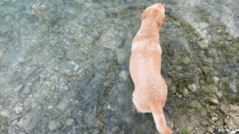 Schermata 2022-06-20 alle 10.29.58 2