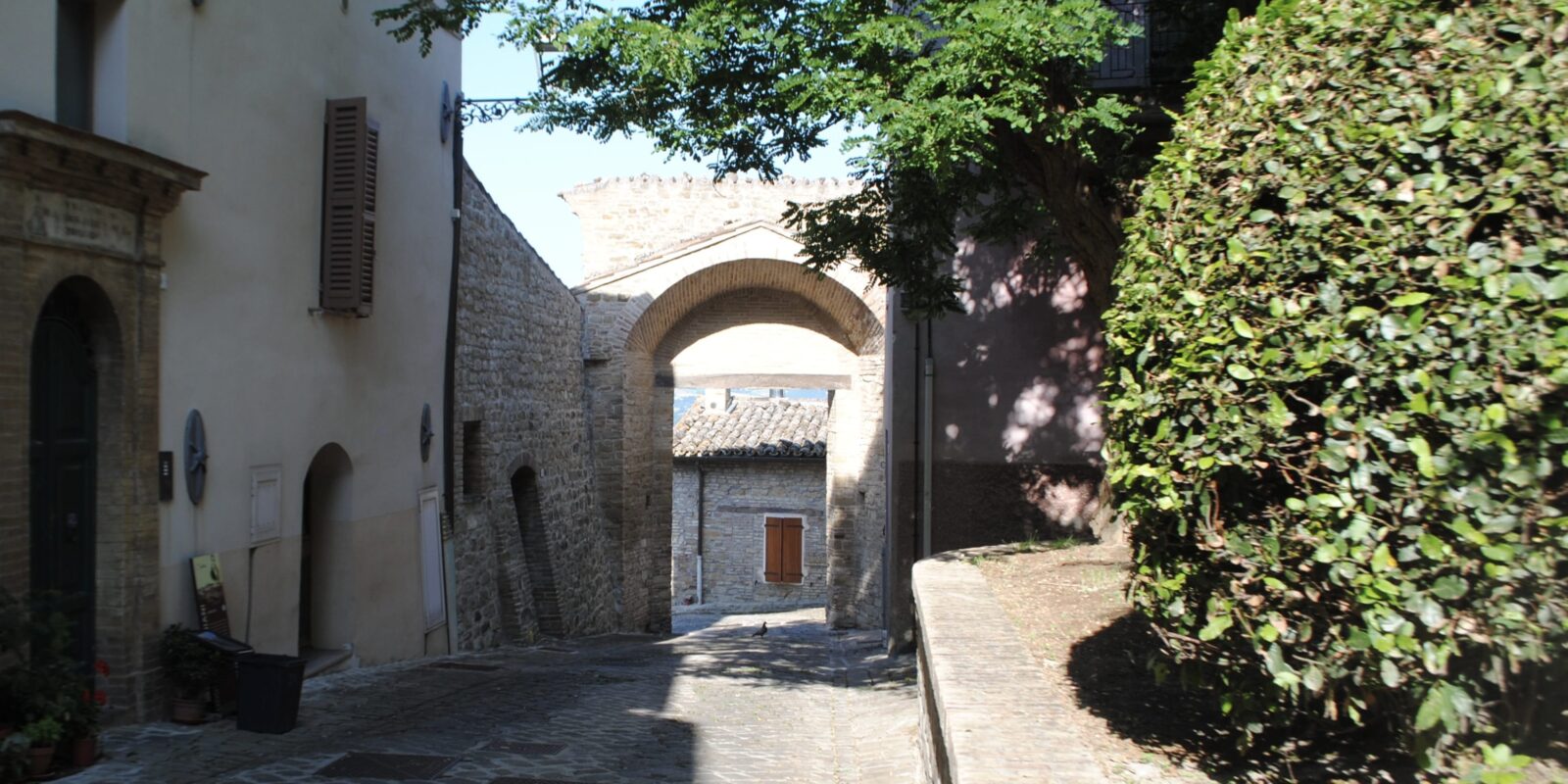 arco maiolati