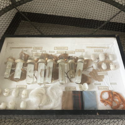 Schermata 2022-07-06 alle 08.40.10