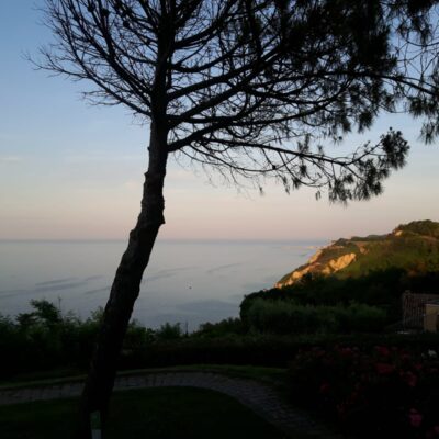 WhatsApp Image 2022-07-06 at 18.04.10-2